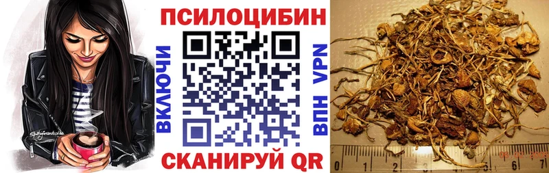 OMG tor  Новоульяновск  Галлюциногенные грибы ЛСД 